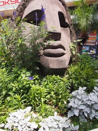 モヤイ像の夏花壇づくりに参加しました 渋谷flowerプロジェクト みど リンク アクション 東急株式会社