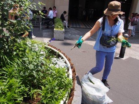 モヤイ像の夏花壇づくりに参加しました 渋谷flowerプロジェクト みど リンク アクション 東急株式会社