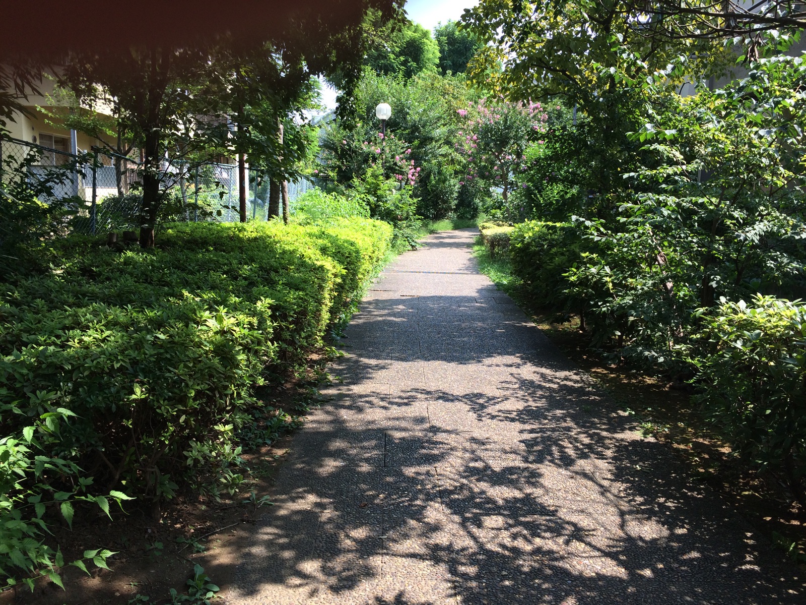 谷川緑道（二子玉川） 『みど＊リンク』アクション｜東急株式会社